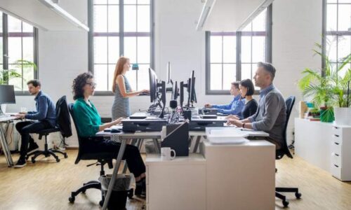 Curso de Ergonomia